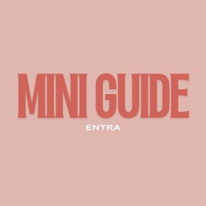 Mini Guide